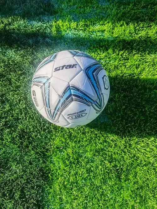 专业分析师研究数据